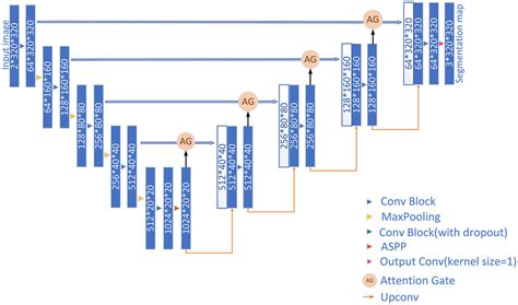 Structure of the proposed network. | Download Scientific Diagram 