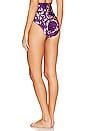 Zimmermann Tiggy Circle Link Bikini Bottom In Lilac Pink Paisley