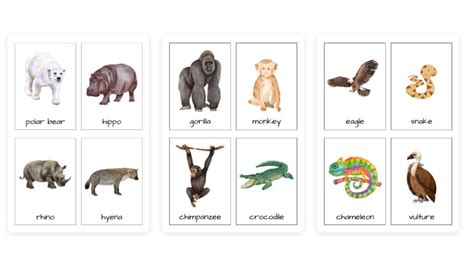 Beautiful Wild Animals Flashcards For Kids Free Printable Womanhood