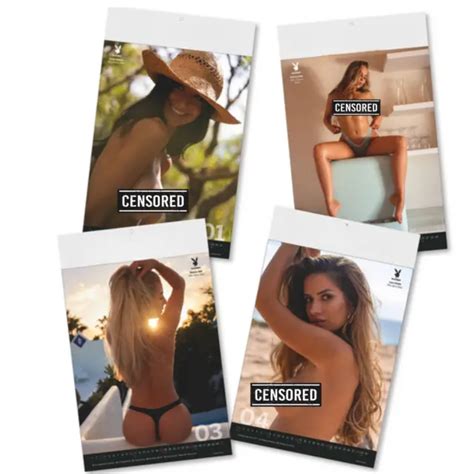 KALENDER 2024 Erotikkalender Playboy Fotokalender 47 8 X 29 7 Cm