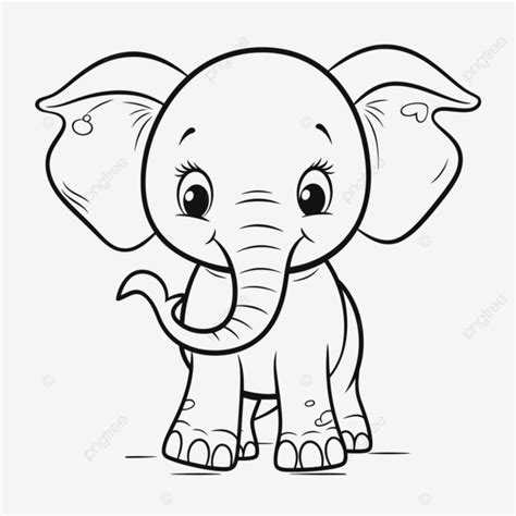 Sketsa Gajah Lucu Gambar Mewarnai Bentuk Gajah Yang L