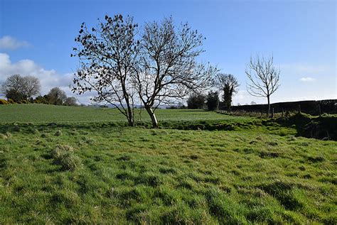 Bare Trees Glasmullagh Kenneth Allen Cc By Sa Geograph