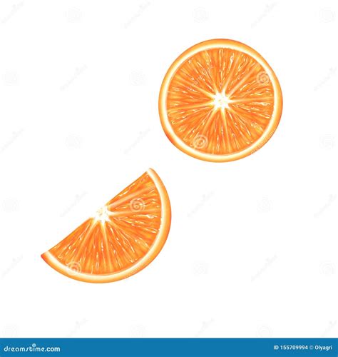 Orange Slice Isolated Stock Illustration Illustration Of Orange