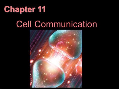 Chapter 11 Cell Communication Overview The Cellular Internet Cell To