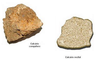 Quais São os Tipos de Calcário e Para Que Serve Cada Um Mundo Ecologia