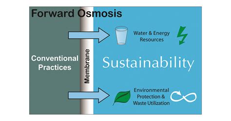 Osmosis Examples In Real Life