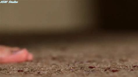 Acg Unaware Giant Part Mpg Amateur Soles Giantess And Footjobs Clips Sale