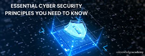 What Are The Cyber Security Principles