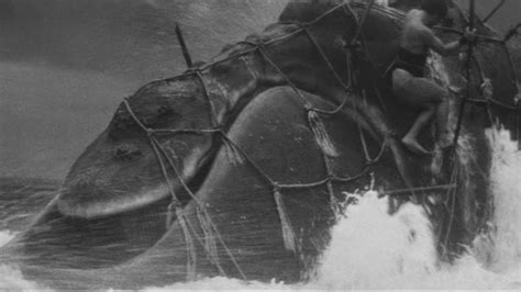 The Whale God 1962 Mubi