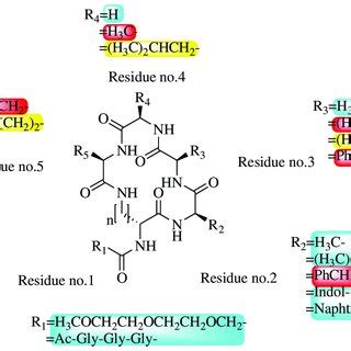 Structure Activity Relationships Obtained Lactam Hybrid Analogues With