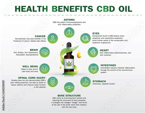 Health Benefits Cbd Oil Medical Uses For Cbd Oil Stock Vector Adobe Stock