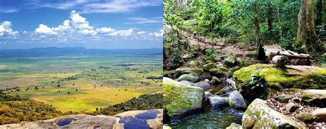 Expert Guide On Udzungwa Mountains National Park In Southern Tanzania