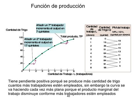 Desarrollo De La Función De Producción Derecho Uned