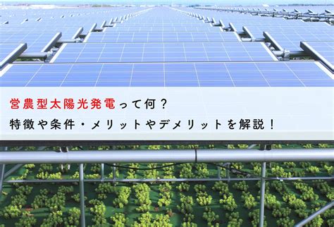 営農型太陽光発電って何？特徴や条件・メリットやデメリットを解説！ 蓄電池・リフォームのことならリノベステーション