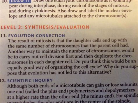 Solved EVOLUTION CONNECTION The Result Of Mitosis Is That Chegg