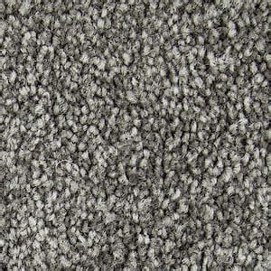 Lifeproof With Petproof Technology 8 In X 8 In Texture Carpet Sample