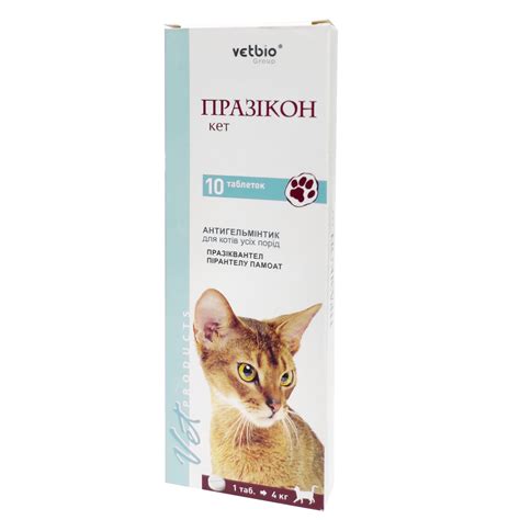 Таблетки Vetbio Празикон кет для котов антигельминтные 10 т 1 таблетка ...