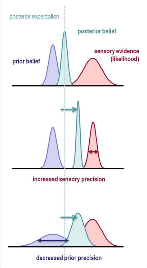 Illustration Of Bayesian Inference The Prior Belief Blue About A