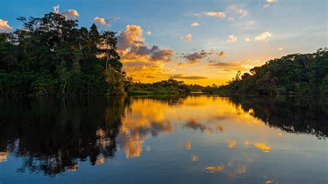 Exploring Yasuni National Park - Ecuadorian Amazon - Steppes Travel