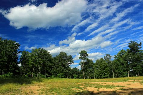 Banco de imagens panorama árvore natureza floresta grama nuvem