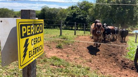 Cerca El Trica Traz Vantagens No Manejo Do Gado Nosso Campo G