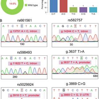 The Tnfaip Mutation Pattern In The Jnu Dataset A Percentage Of