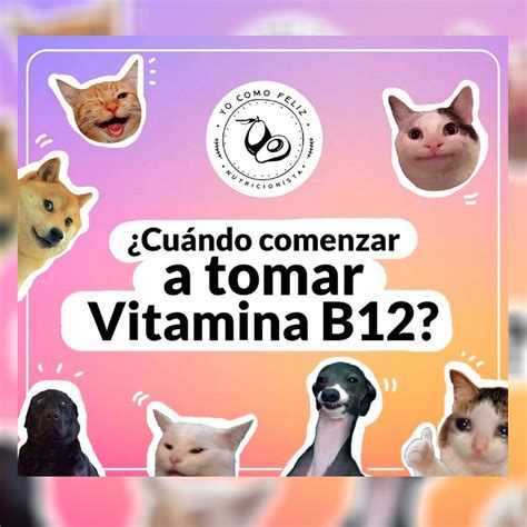 Cuándo comenzar a tomar la b12 yocomofeliz