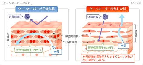 今の季節必見！乾燥肌から守る T 梅田 中崎町・西宮北口にある美容院ヘアサロンギフト