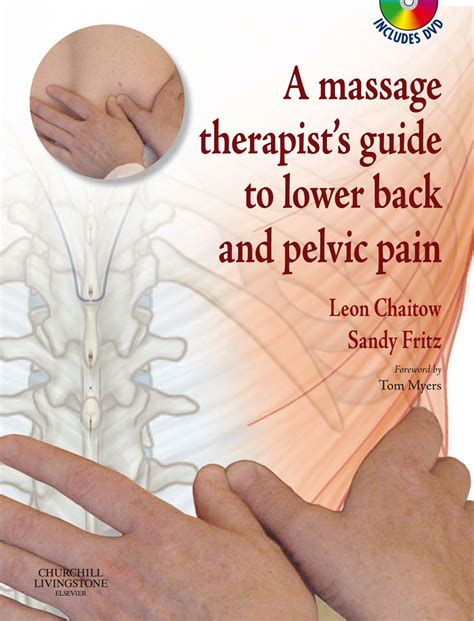 A Massage Therapist S Guide To Lower Back Von Chaitow Naturmed De