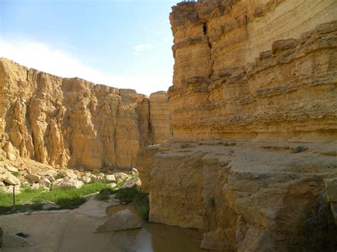 Diario De Viajes Tunez Los Oasis De Monta A De Tamerza Chebika Y El