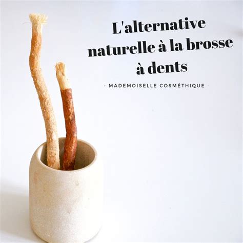 Le siwak alternative naturelle à la brosse à dents Haleine fraiche