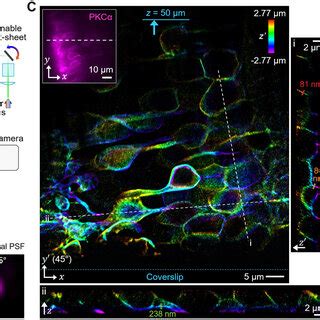 Single Molecule OPM Imaging A Schematic Of Oblique Plane SMLM