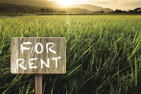 Farmland For Rent Country Guide