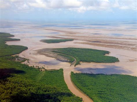 Ghid Turistic Guyana Franceză Globi