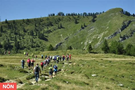 Oberndorf Wolfgangsee Kuh Aus Misslicher Lage Befreit N N At