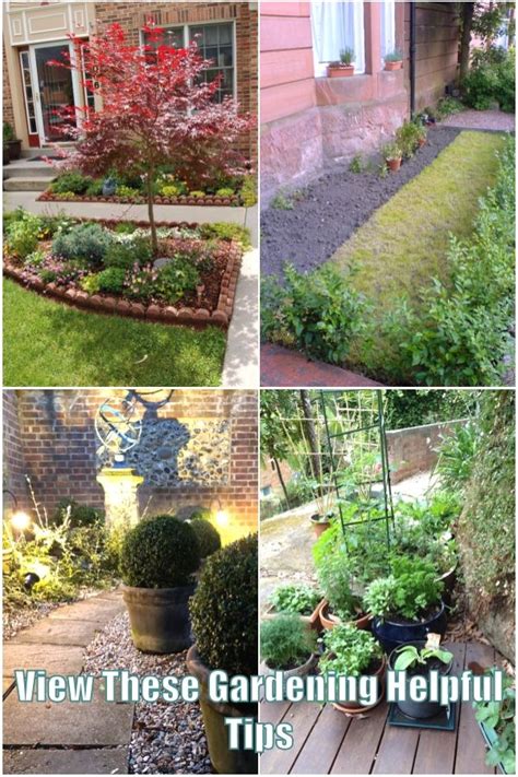 Seasonal Gardening Guidance | Outdoor garden, Seasonal garden, Beautiful gardens