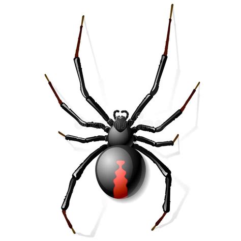 Black Widow Spider Cartoon