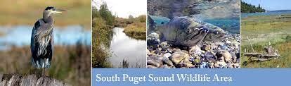 South Puget Sound Wildlife Area – Lakewood Chamber, City of Lakewood in ...