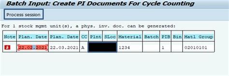 Physical Inventory Cycle Counting Process SAP Community