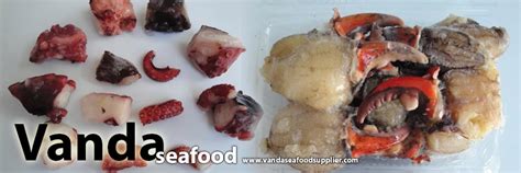 Supplier Seafood Harga Murah Vanda Seafood