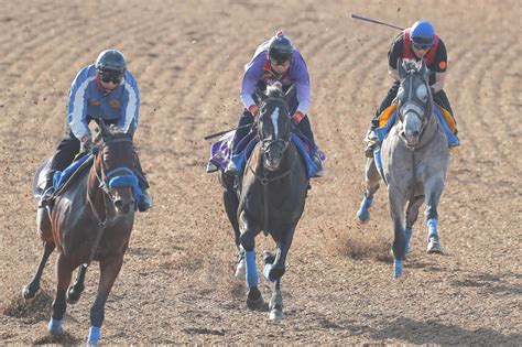 【京都大賞典】復活目指すグローリーヴェイズ 美浦・wコースで3頭併せで最先着 Umatoku 馬トク