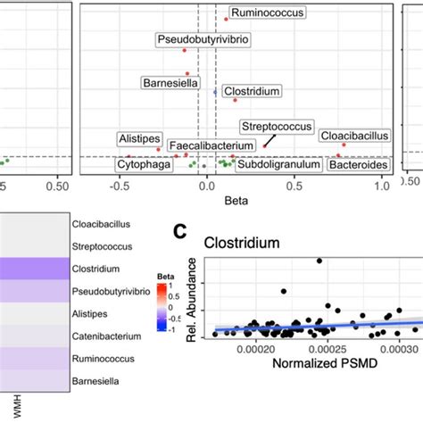 Multivariable Association Between The Gut Microbiome And CSVD Markers