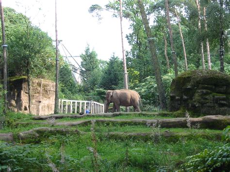 Arnhem Zoo 2004 - Asiatic Elephant exhibit - ZooChat