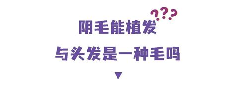 用阴毛植发？阴毛多性欲强？这撮毛还有多少你不知道的事深圳新闻网