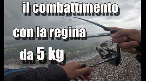 Pesca Spinning In Mare Combattimento Spigola 5kg Wtd YouTube