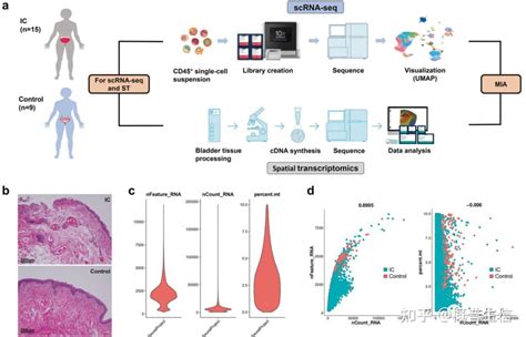 Sci 热门分享 单细胞转录组联合空间转录组 知乎