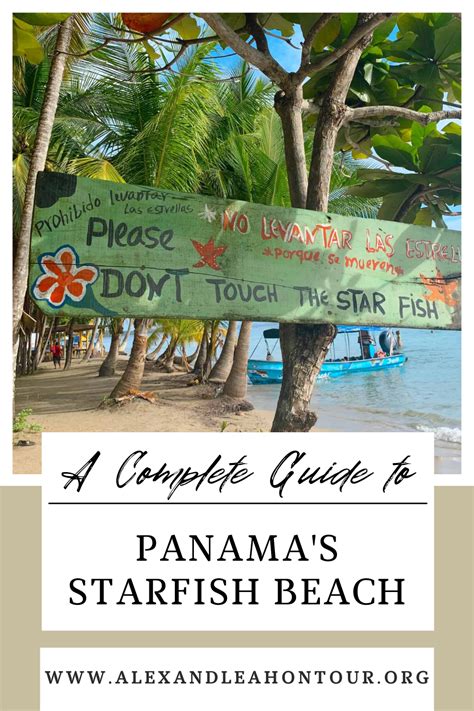 Things To Know Before Visiting Starfish Beach In Bocas Del Toro