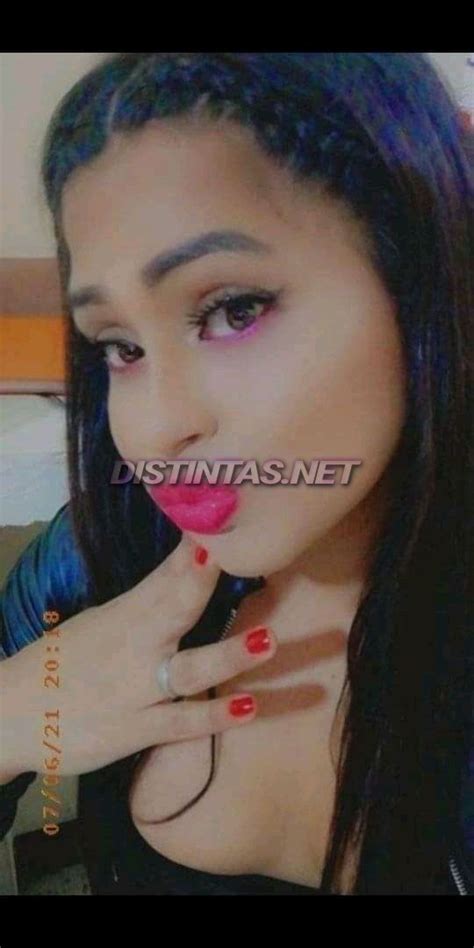 Farina TRANS Escort En Guayaquil Guayas Distintas Net Escorts