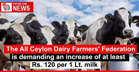 The All Ceylon Dairy Farmers Federation Is Demanding An Increase Of At