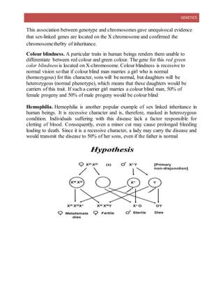 Sex Determination And Sex Linked Inheritance DOCX